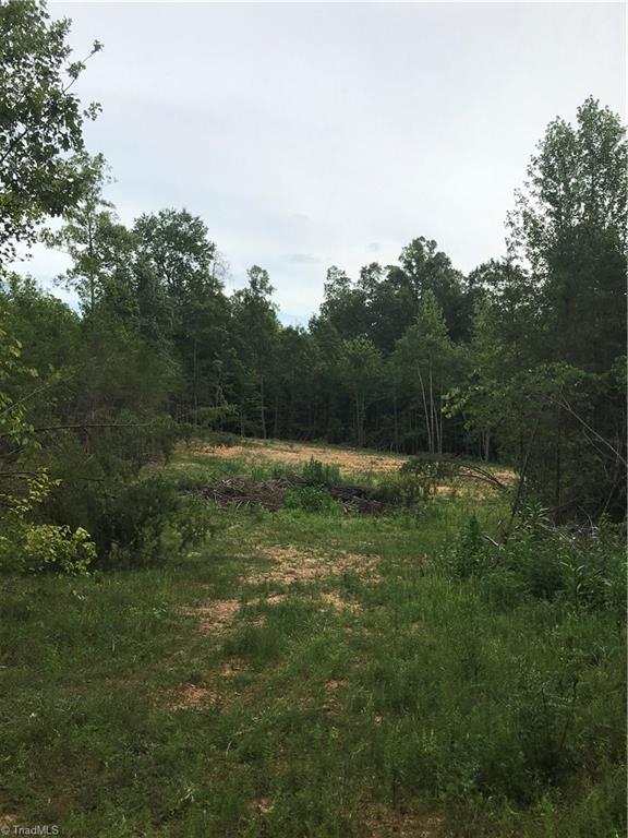 76-ac Smothers Road Madison, NC 27025 - Photo 8 of 30