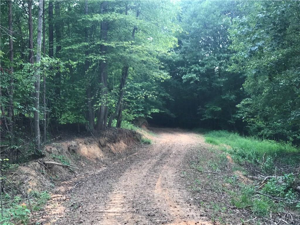 76-ac Smothers Road Madison, NC 27025 - Photo 9 of 30