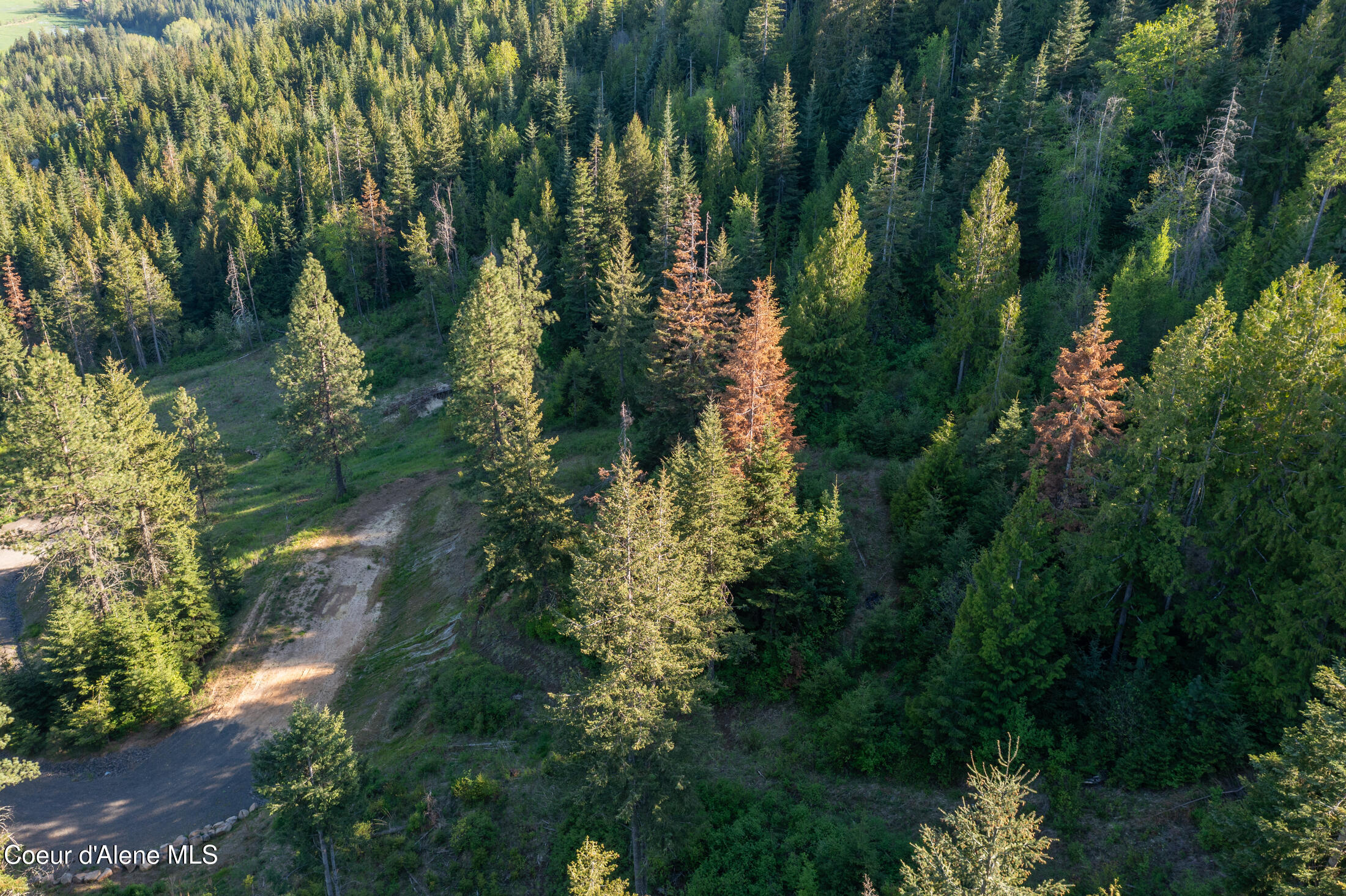 Nna West Biggs Road Rathdrum, ID 83858 - Photo 4 of 15 1 17