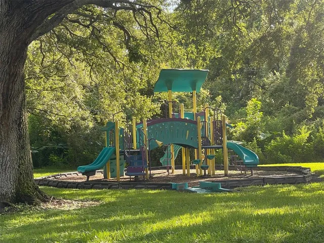 a view of a park with large trees