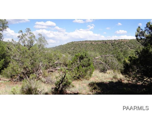 266 Sierra Verde Ranch Seligman, AZ 86337 - Photo 3 of 7 Additional Photo