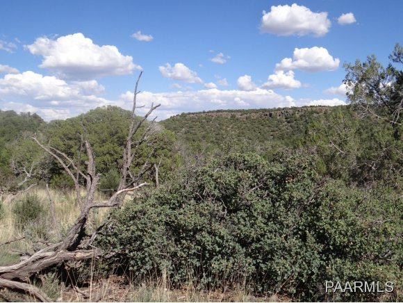 266 Sierra Verde Ranch Seligman, AZ 86337 - Photo 5 of 7 Additional Photo