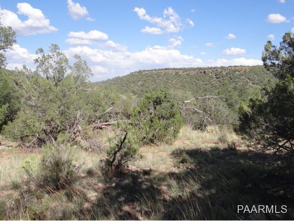 266 Sierra Verde Ranch Seligman, AZ 86337 - Photo 7 of 7 Additional Photo