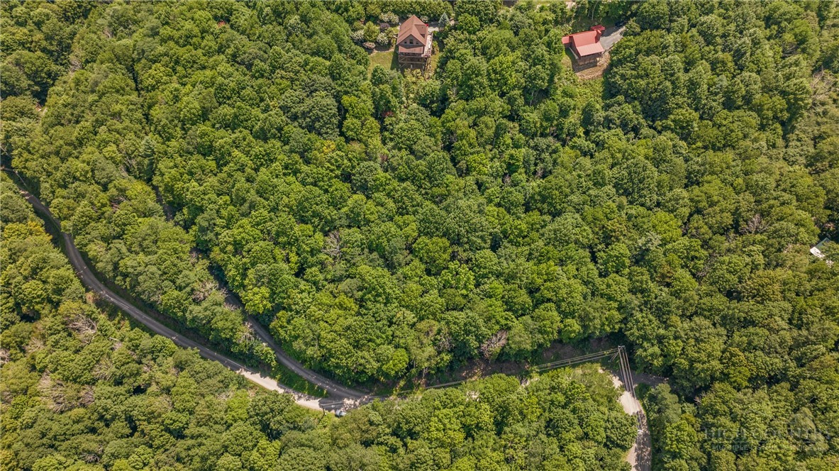 Silverleaf Road Zionville, NC 28698 - Photo 2 of 25
