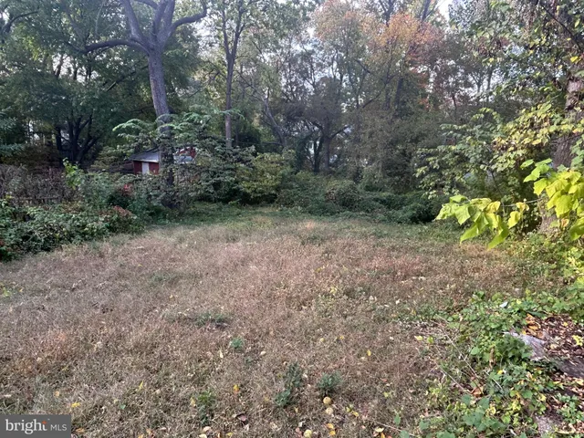 a view of a yard with plants and trees