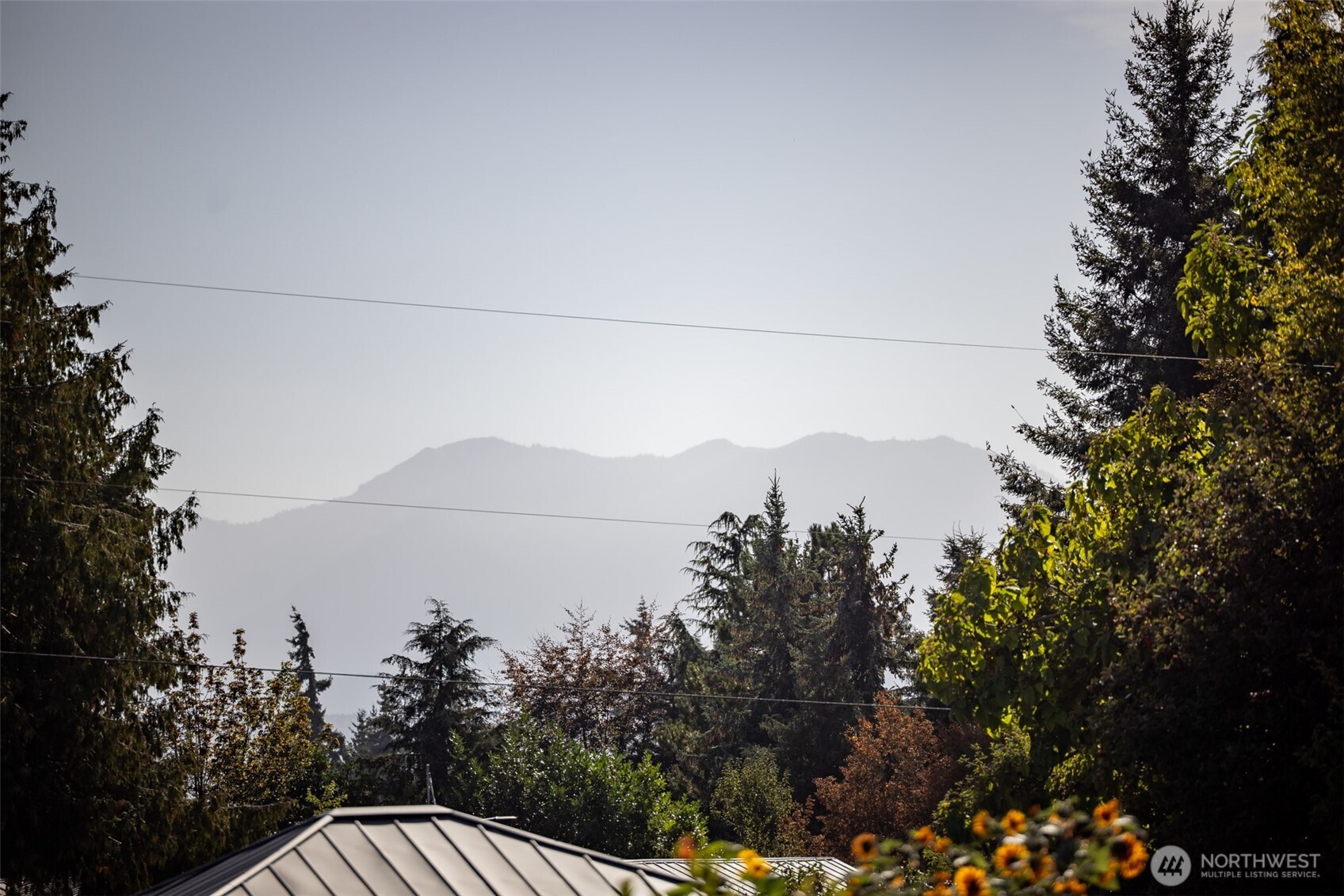 92 Robbins Road Sequim, WA 98382 - Photo 3 of 39 a view of roof with a yard