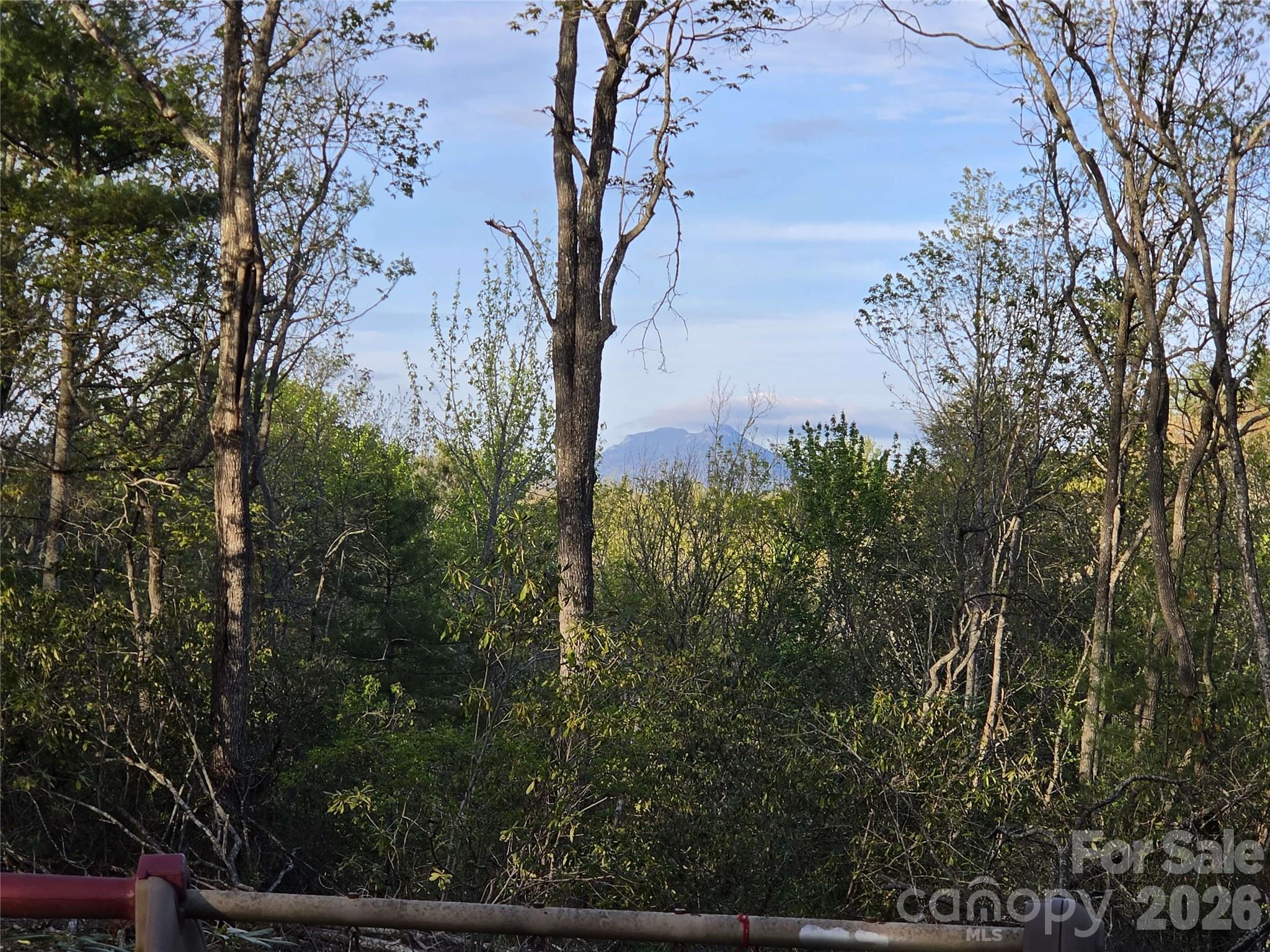 692 Buck Hill Road Newland, NC 28657 - Photo 4 of 31