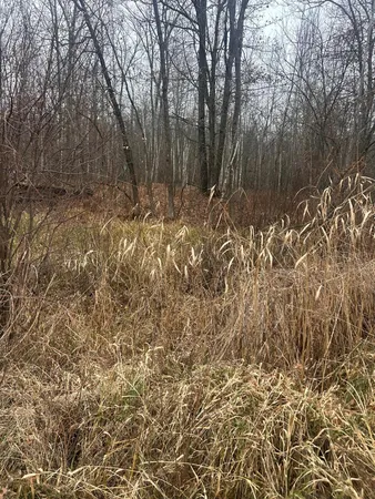 $25,900 | Tbdxx Tbdxx Lake, Randall, MN 56475