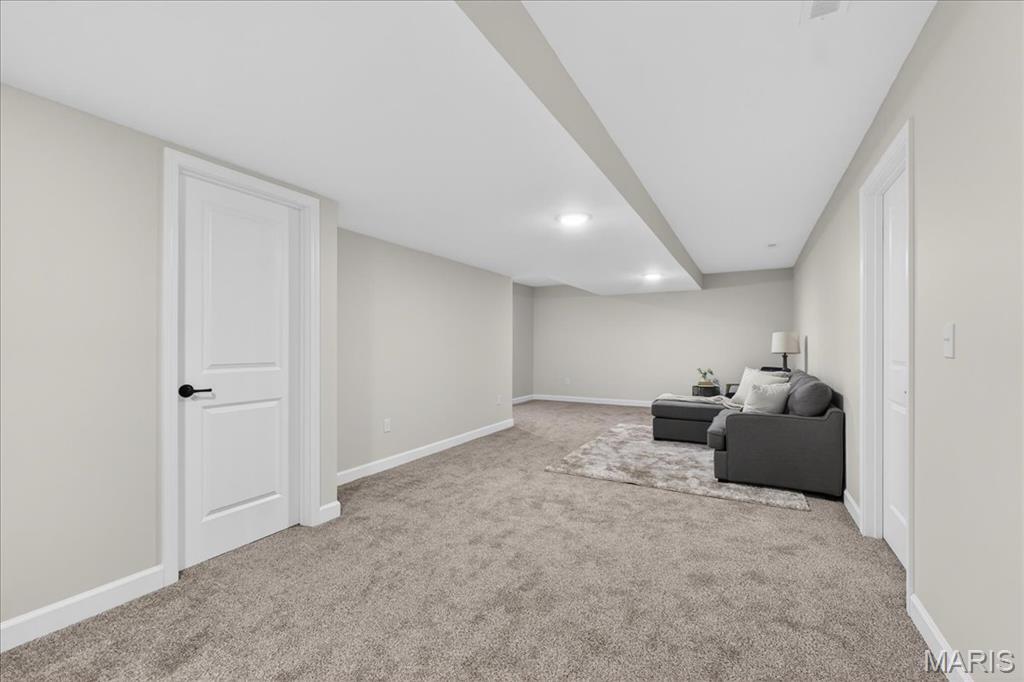 617 Middletown Court O'Fallon, IL 62269 - Photo 32 of 44