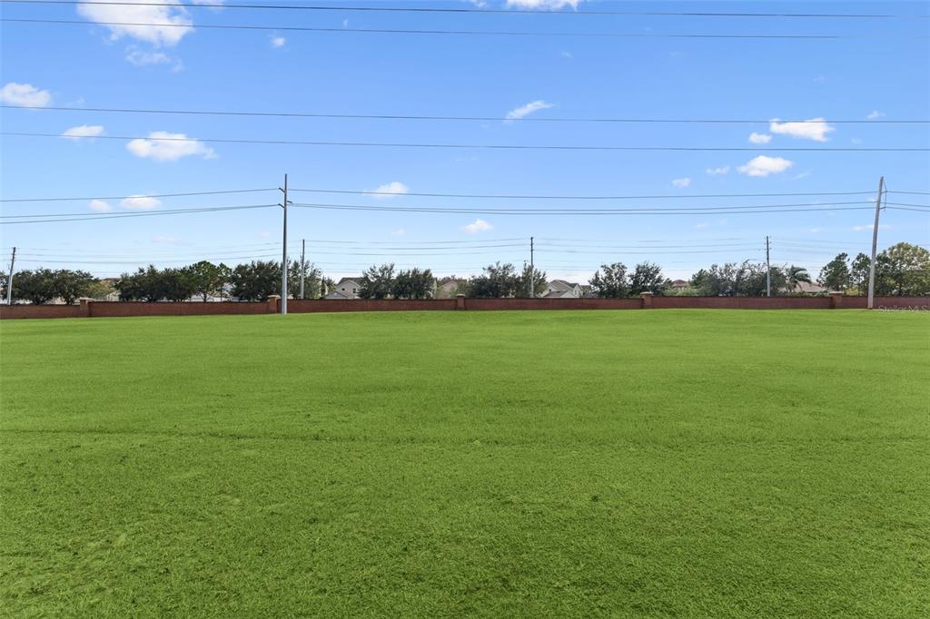 11162 Ledgement Lane Windermere, FL 34786 - Photo 43 of 55 a view of a big yard of a house