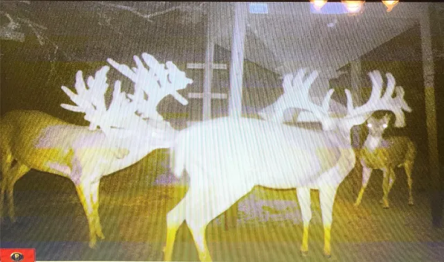 a view of water heater room