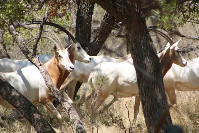a view of a yard covered with snow