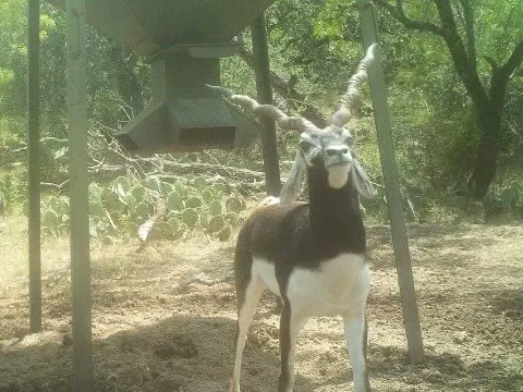 a view of a patio with table and chairs under an umbrella
