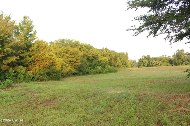 a black and white photo of a park