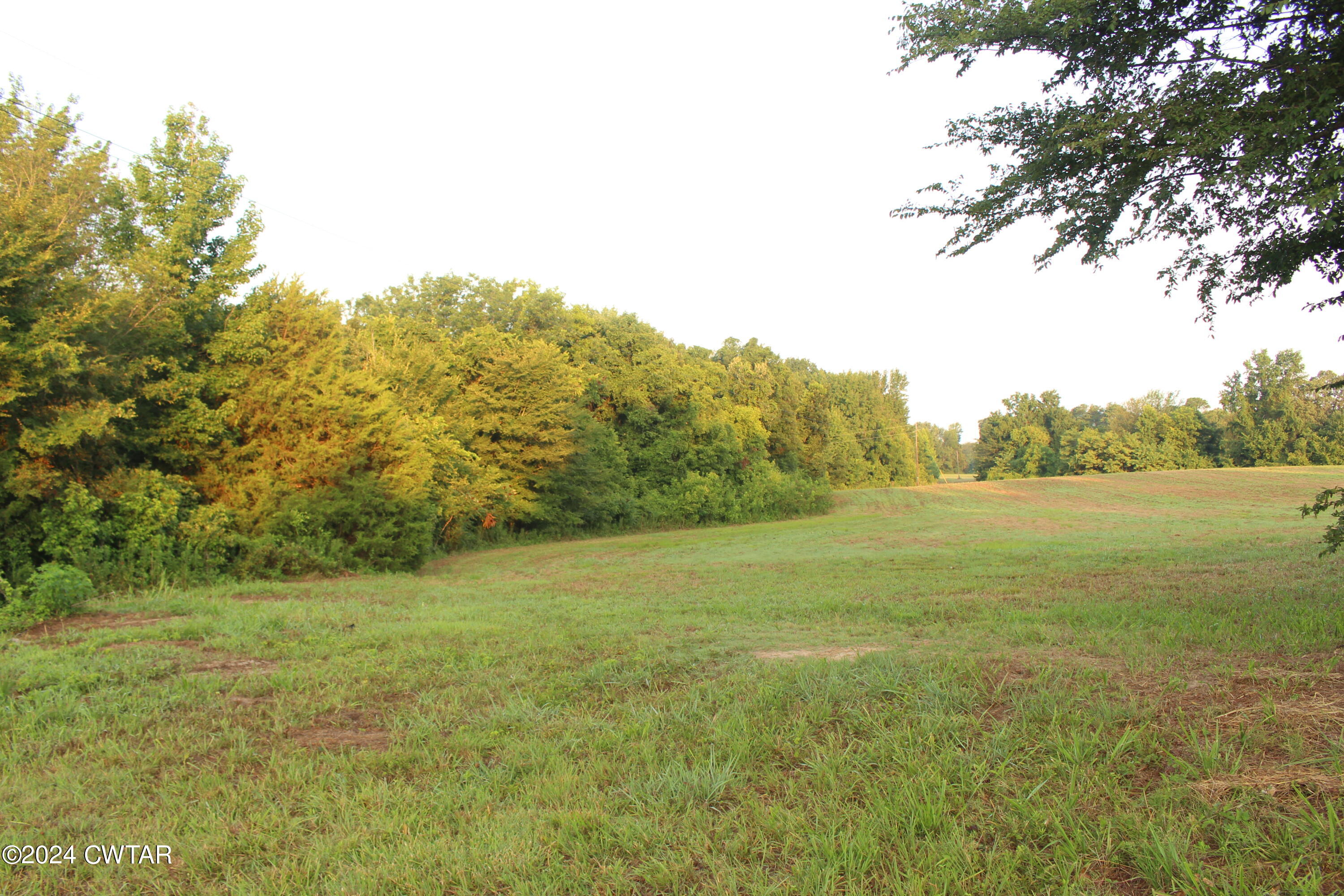 0 138th Highway Mercer, TN 38392 - Photo 11 of 14 a view of a field with an trees