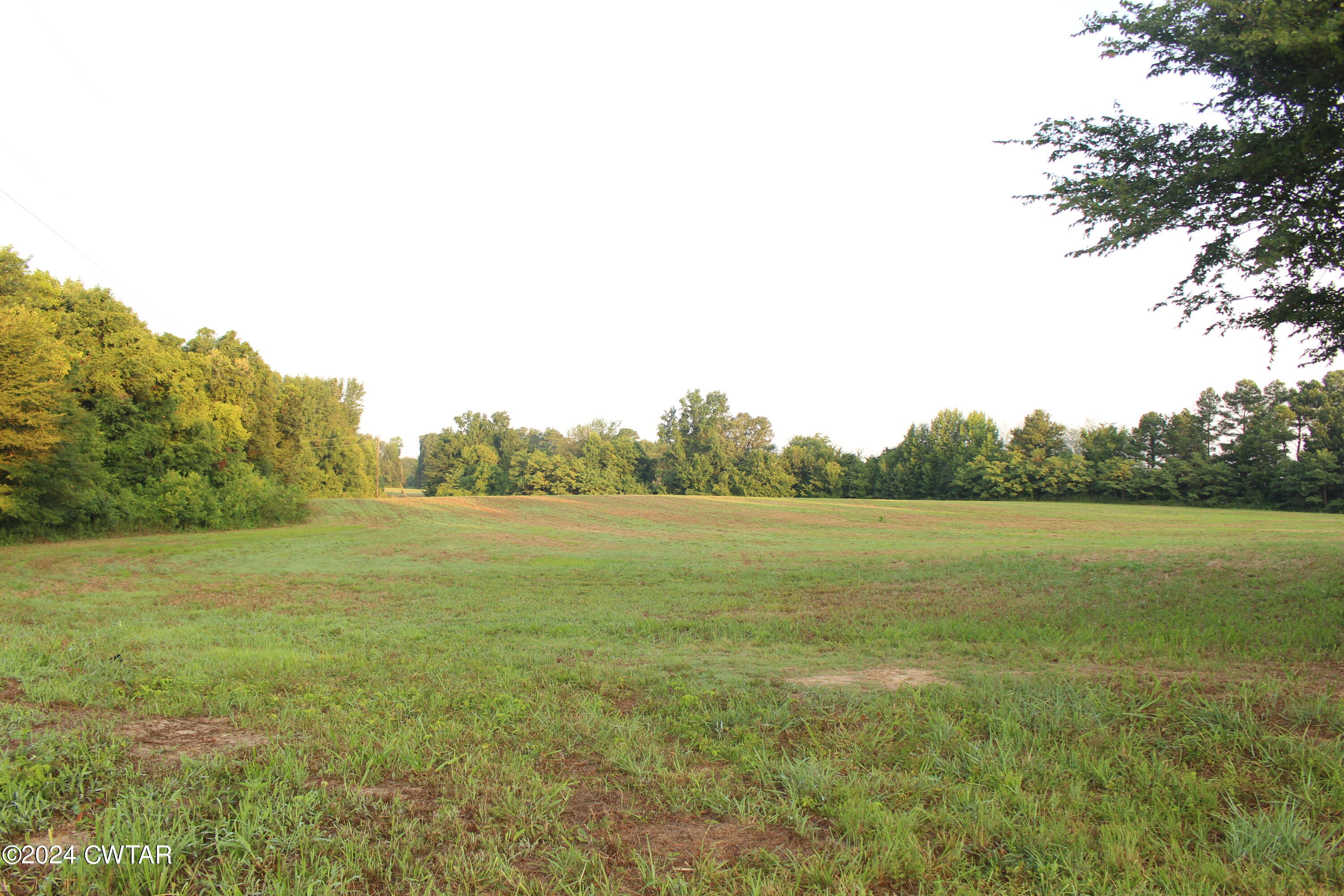0 138th Highway Mercer, TN 38392 - Photo 12 of 14