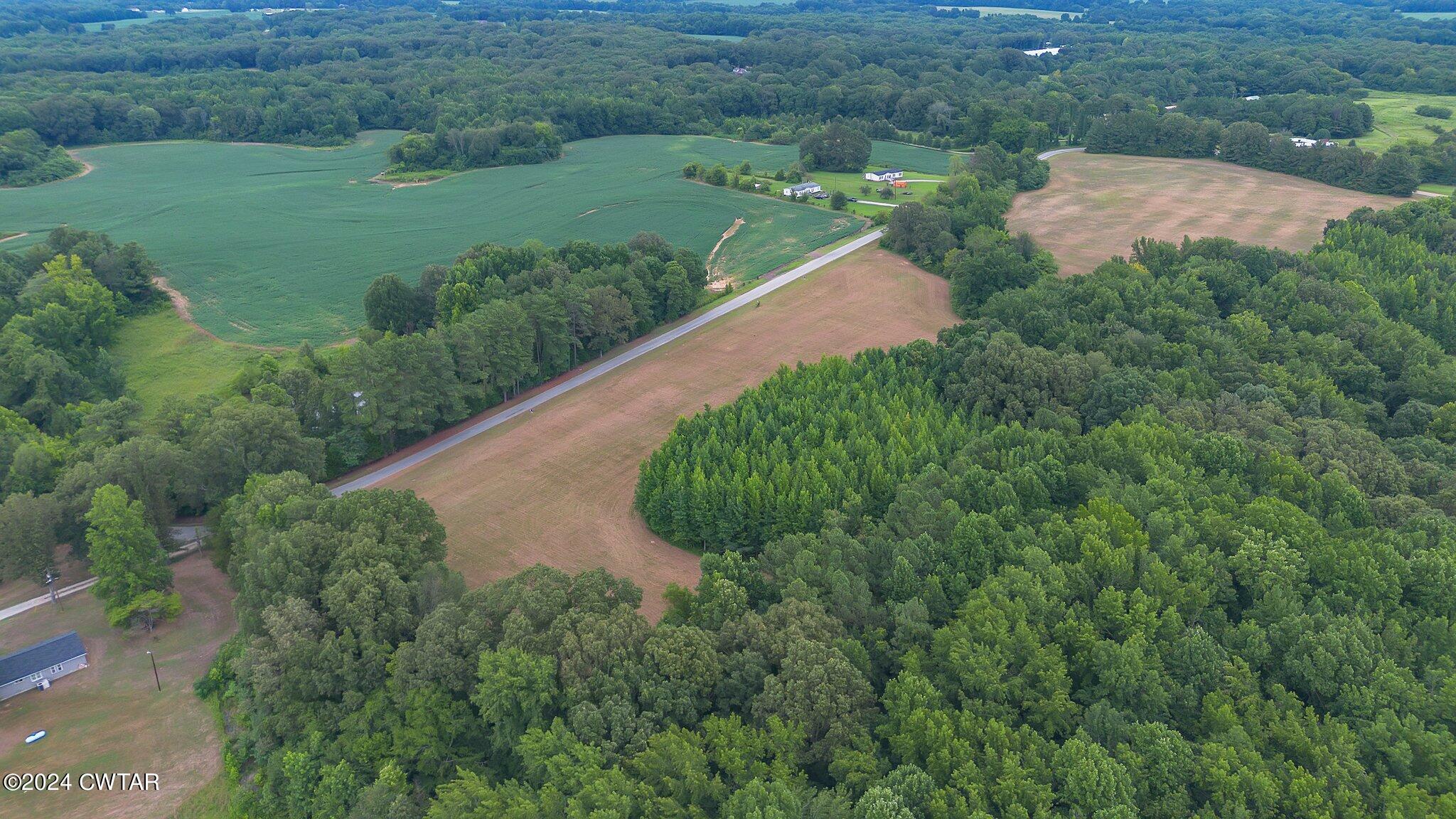 0 138th Highway Mercer, TN 38392 - Photo 5 of 14 a view of a green yard with plants and large trees