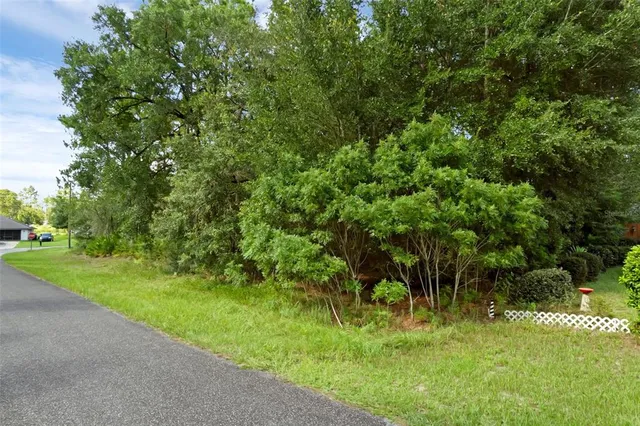 a view of a lush green space