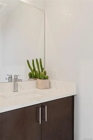 a close view of sink and a potted plant