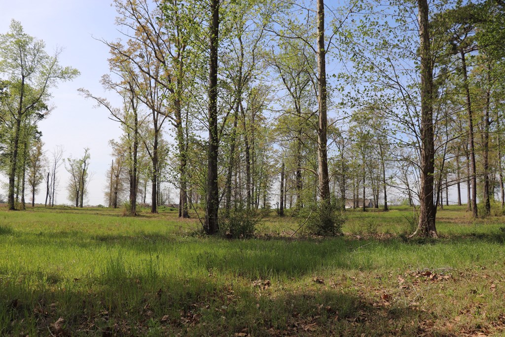 2154 J East Saunders Road Dothan, AL 36301 - Photo 7 of 15