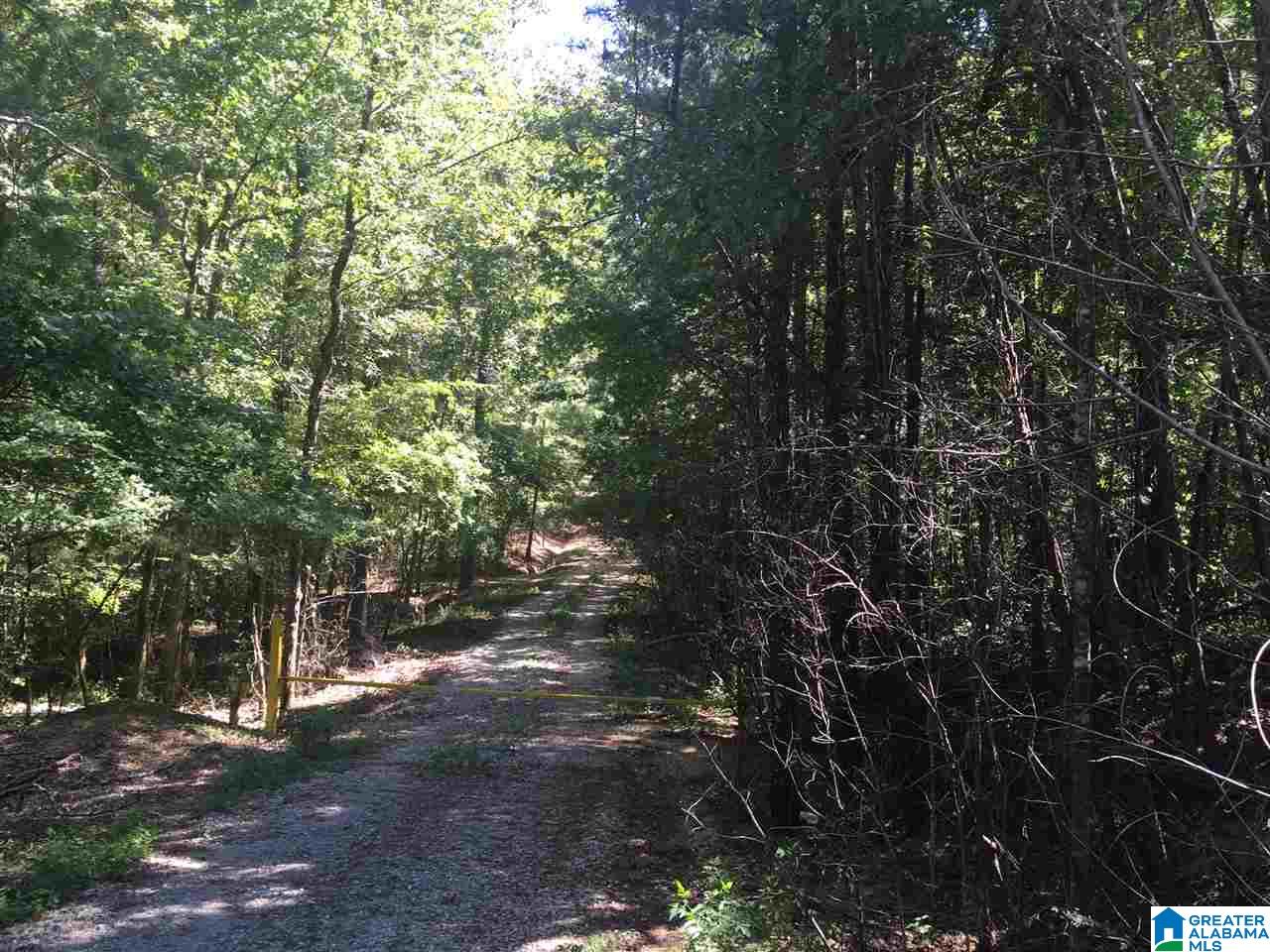 2116 Rock School Road Harpersville, AL 35078 - Photo 1 of 1