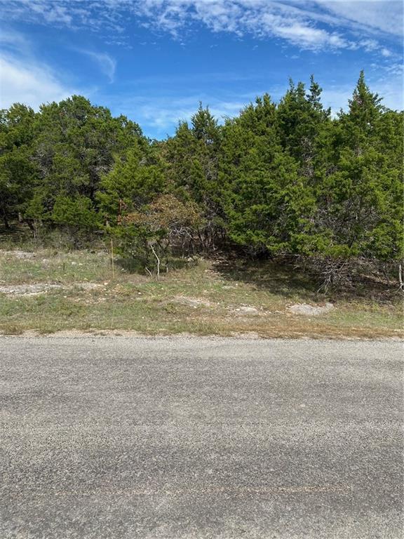 15950 Brazos Drive Temple, TX 76502 - Photo 2 of 9 a view of a lake view