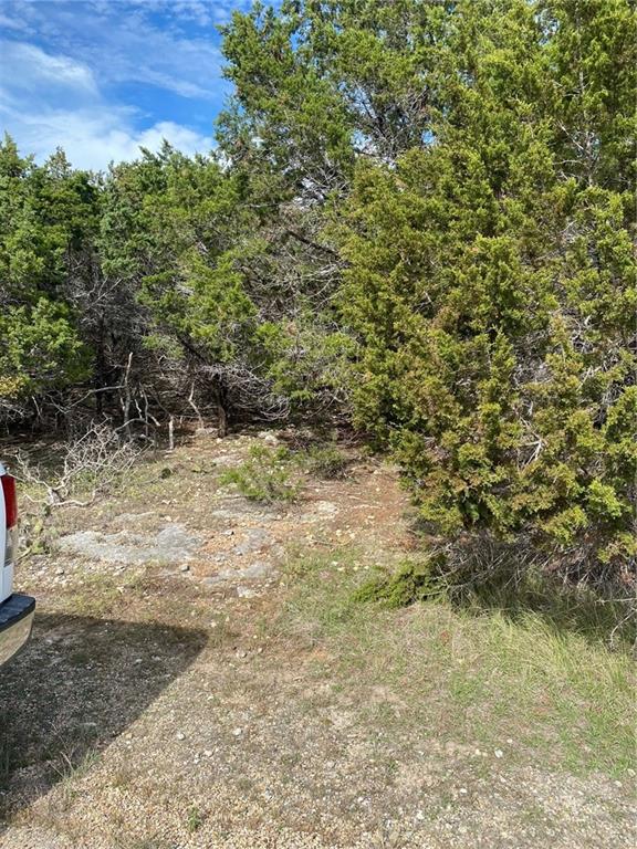 15950 Brazos Drive Temple, TX 76502 - Photo 3 of 9 a view of a yard with a tree