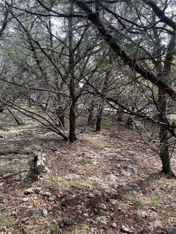 15950 Brazos Drive Temple, TX 76502 - Photo 4 of 9 a view of a yard with a tree