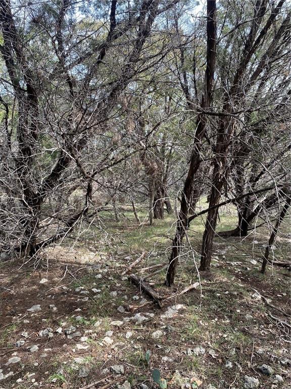 15950 Brazos Drive Temple, TX 76502 - Photo 5 of 9 a view of a yard with a tree