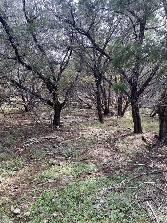 15950 Brazos Drive Temple, TX 76502 - Photo 6 of 9 a view of tree