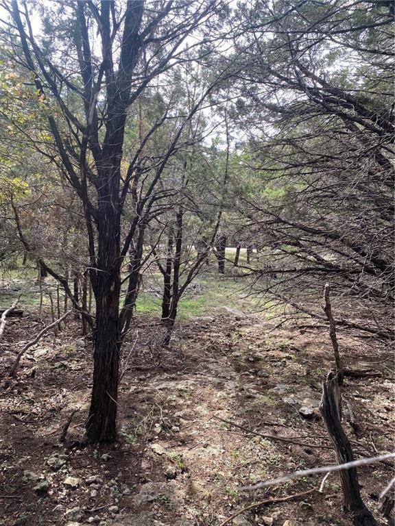 15950 Brazos Drive Temple, TX 76502 - Photo 7 of 9 a backyard of a house with lots of green space