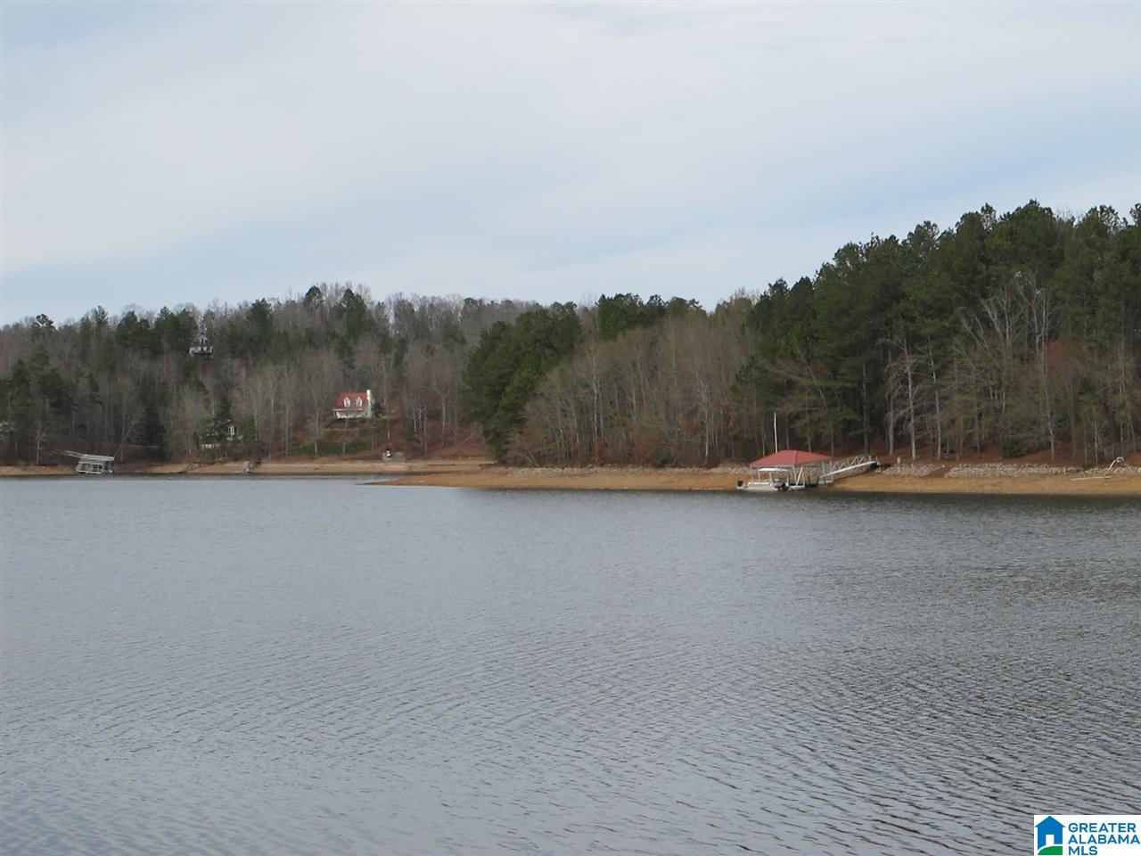 1296 County Road Wedowee, AL 36278 - Photo 4 of 8
