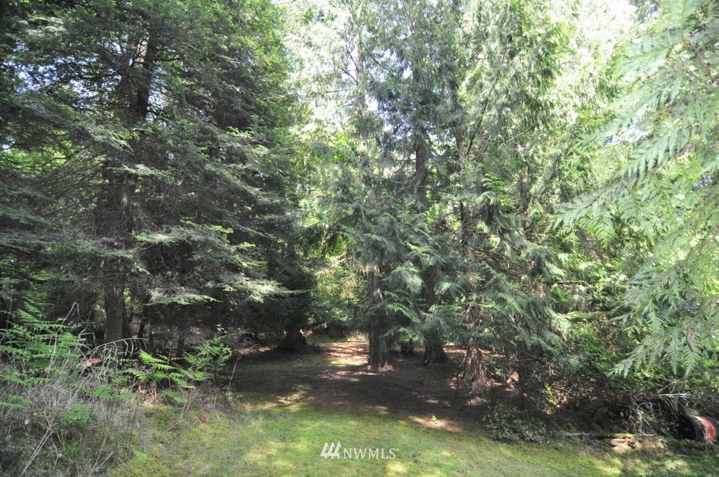 121 Sea Ranch Road Lopez Island, WA 98261 - Photo 10 of 11