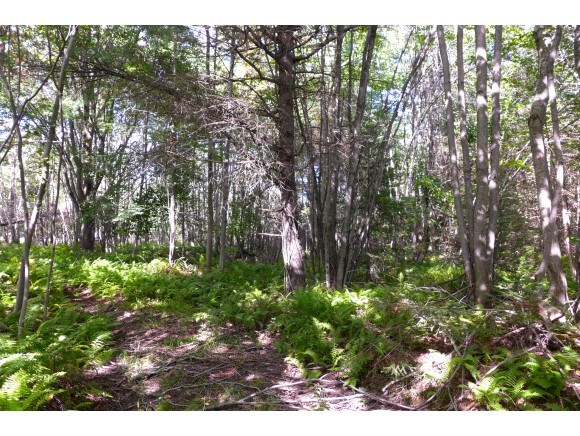 362 Berry Road Berkshire, VT 05476 - Photo 18 of 19 Gallery Image 18