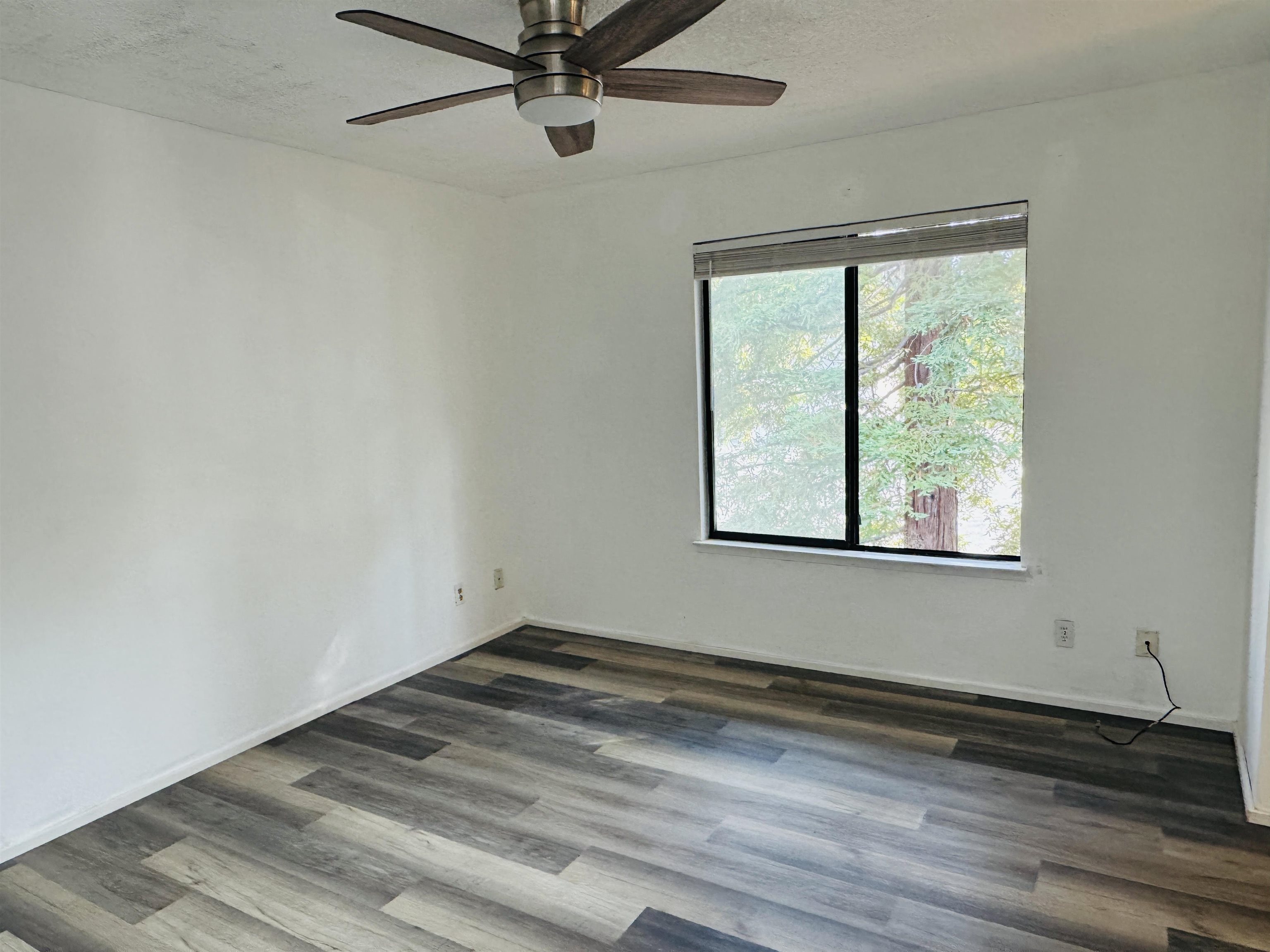 704 Windsor Hercules, CA 94547 - Photo 5 of 9 Unfurnished room with dark wood-style flooring and a textured ceiling