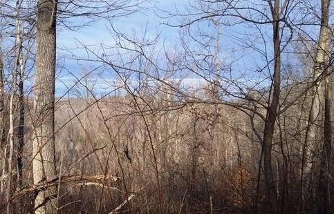 899 South Fork Road Stanton, KY 40380 - Photo 2 of 22 Photo 2