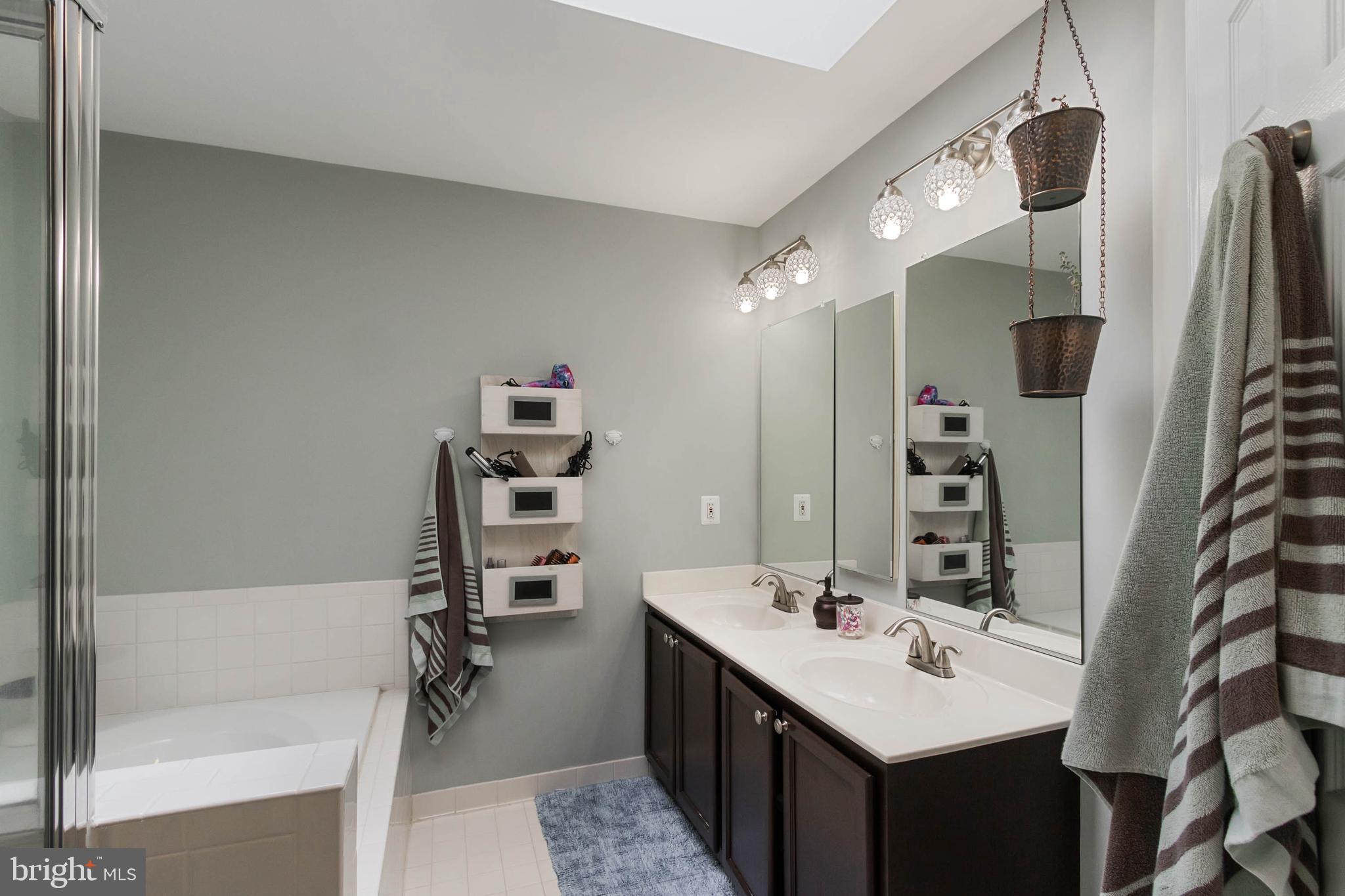 20385 Farmgate Terrace Ashburn, VA 20147 - Photo 14 of 27 a bathroom with a sink a tub and a mirror