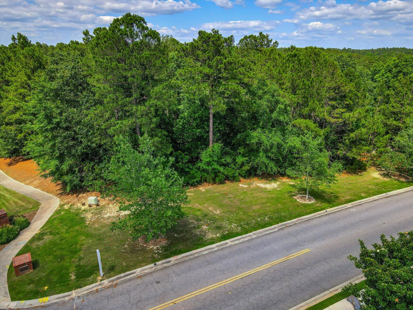 Lot 1 Steeplechase Road Aiken, SC 29803 - Photo 14 of 19 Gallery Image 14