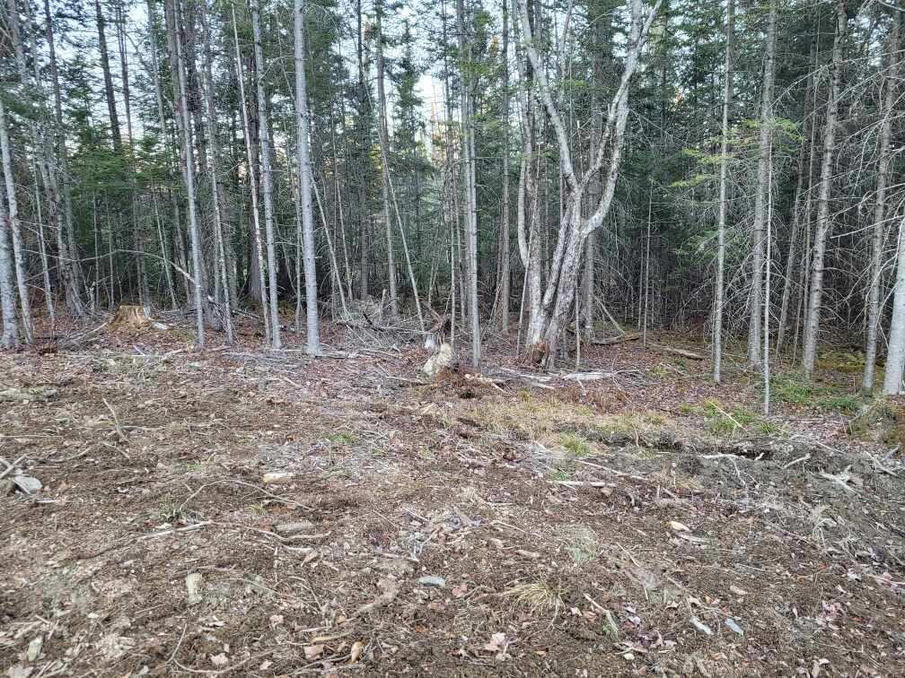 0 Fothingill Road Greenbush, ME 04418 - Photo 14 of 22 Resized952021110795151206