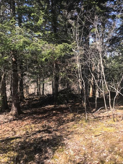 20 Riverview Lane Addison, ME 04606 - Photo 20 of 23 IMG_6104