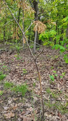 $295,000 | 11375 Northeast 50 Road, Osceola, MO 64776