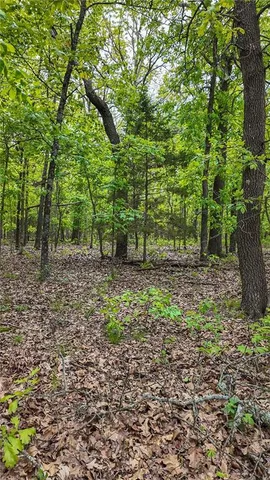 $295,000 | 11375 Northeast 50 Road, Osceola, MO 64776