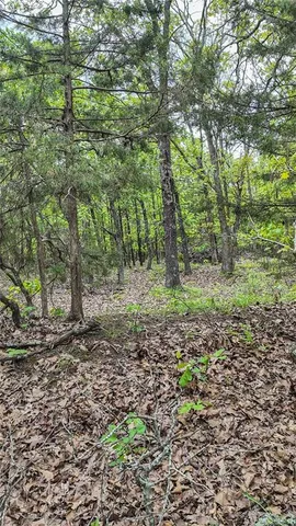 $295,000 | 11375 Northeast 50 Road, Osceola, MO 64776