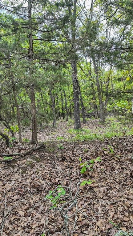 11375 Northeast 50 Road Osceola, MO 64776 - Photo 13 of 59