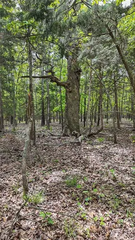 $295,000 | 11375 Northeast 50 Road, Osceola, MO 64776