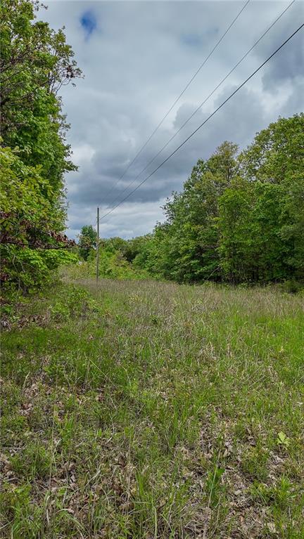 11375 Northeast 50 Road Osceola, MO 64776 - Photo 18 of 59