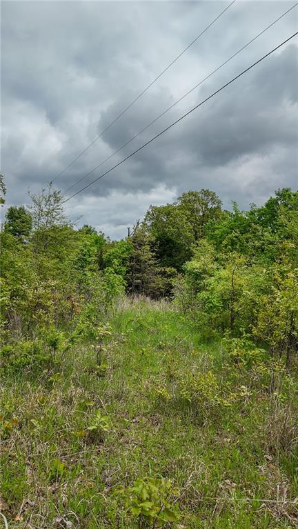 11375 Northeast 50 Road Osceola, MO 64776 - Photo 21 of 59