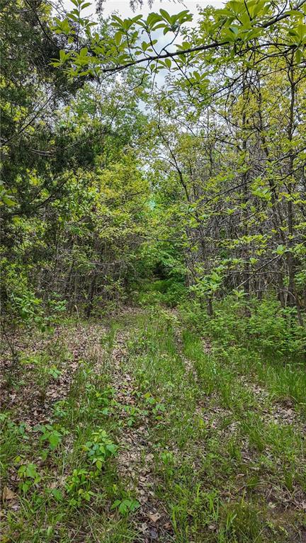 11375 Northeast 50 Road Osceola, MO 64776 - Photo 22 of 59