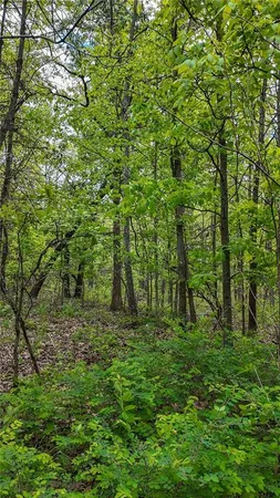 $295,000 | 11375 Northeast 50 Road, Osceola, MO 64776