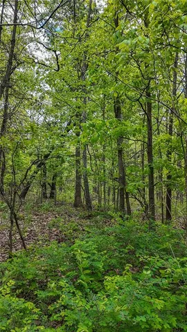 $295,000 | 11375 Northeast 50 Road, Osceola, MO 64776